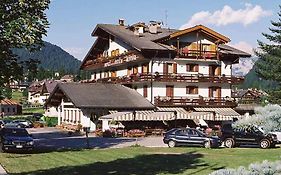 Hotel Stella Alpina