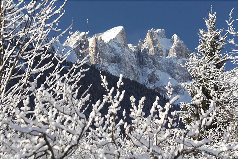 Hotel Stella Alpina Falcade Exterior photo