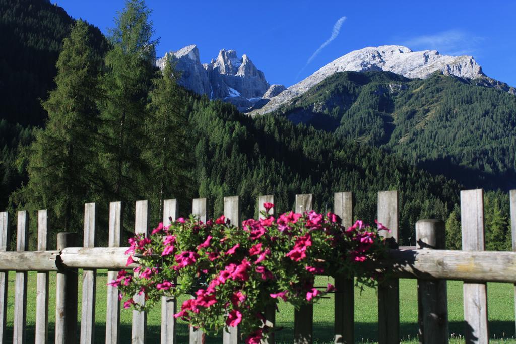 Hotel Stella Alpina Falcade Exterior photo